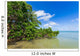 Mangroves Sea