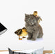 Small Kitten and Ducklings