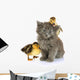 Small Kitten and Ducklings