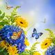 Bouquet from blue hydrangeas and  butterfly, a flower background Wall Mural