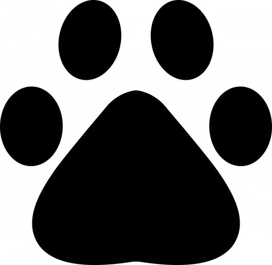 Footprint