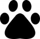 Footprint