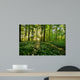 Forest Anemones