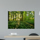 Forest Anemones