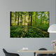 Forest Anemones