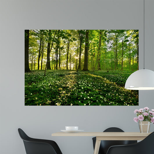 Forest Anemones