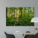 Forest Anemones