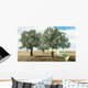 Money Growing Trees Wall Mural