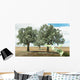 Money Growing Trees Wall Mural