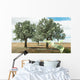 Money Growing Trees Wall Mural