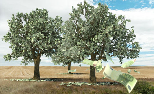 Money Growing Trees Wall Mural