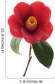 Kurostubaki Black Red Camellia