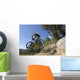 descente vtt Wall Mural