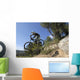 descente vtt Wall Mural