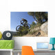 descente vtt Wall Mural