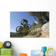 descente vtt Wall Mural