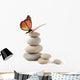 Balanced Stones with Butterfly