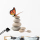 Balanced Stones with Butterfly