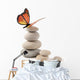 Balanced Stones with Butterfly