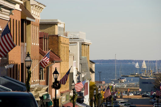 Annapolis Maryland Main Street Wall Mural