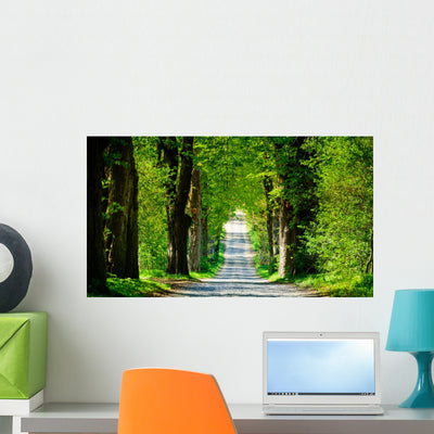 Country Road with Allee shown on a wall