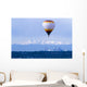 Hot Air Balloon