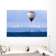 Hot Air Balloon