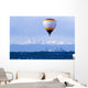 Hot Air Balloon