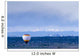 Hot Air Balloon