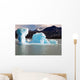 National Park Glacier Iceberg Wall Mural