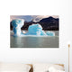 National Park Glacier Iceberg Wall Mural