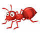 Cute ant cartoon Wall Decal