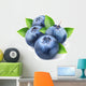 Fresh blueberries Wall Decal