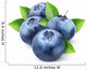 Fresh blueberries Wall Decal