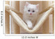 Cat Kitten Cat House