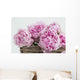 Pink Paeonia Flowers Wall Mural