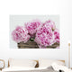 Pink Paeonia Flowers Wall Mural