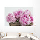 Pink Paeonia Flowers Wall Mural