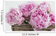 Pink Paeonia Flowers Wall Mural