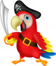Cute Parrot Pirate