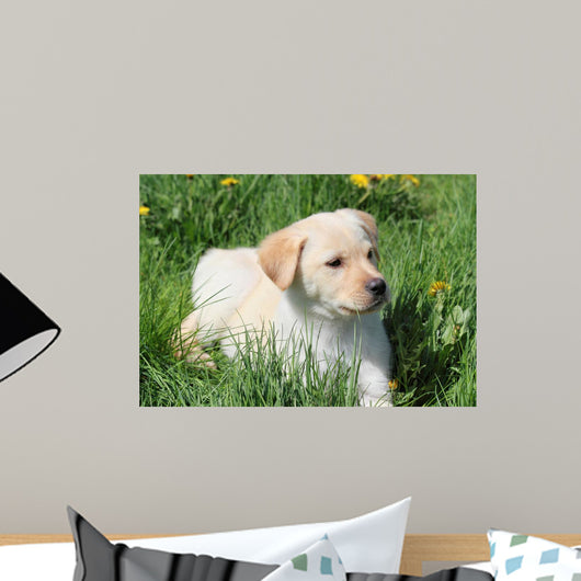 Puppy L Grass Wall Mural