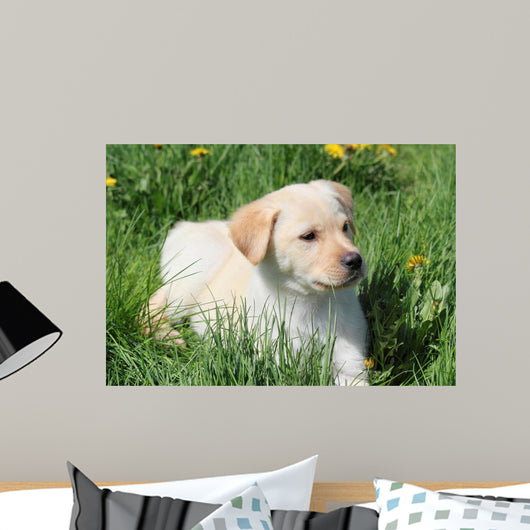 Puppy L Grass Wall Mural
