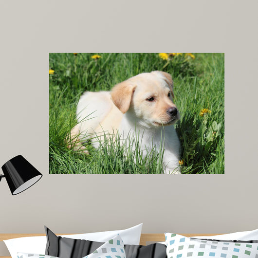 Puppy L Grass Wall Mural