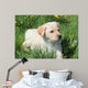 Puppy L Grass Wall Mural
