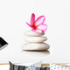 Frangipani Flowers Stones