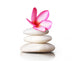 Frangipani Flowers Stones