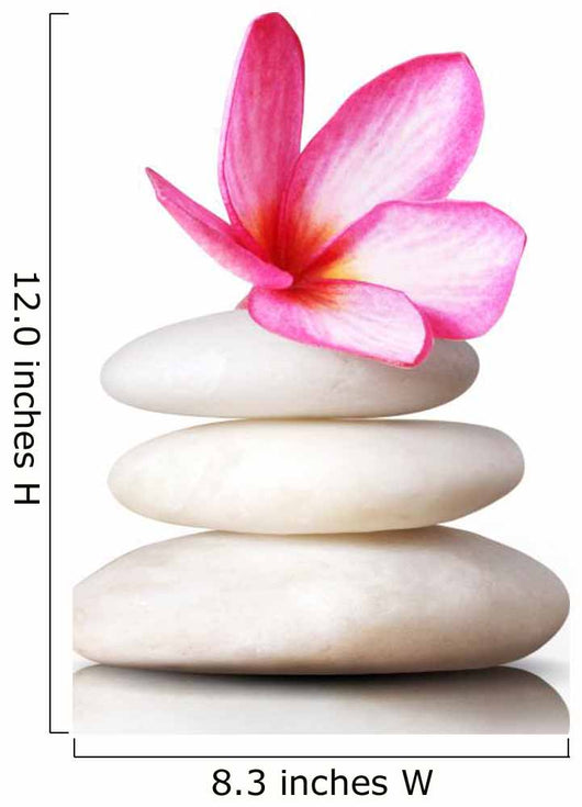 Frangipani Flowers Stones