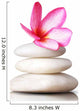 Frangipani Flowers Stones