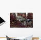 Gray Wolf Portrait Wall Mural