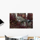 Gray Wolf Portrait Wall Mural